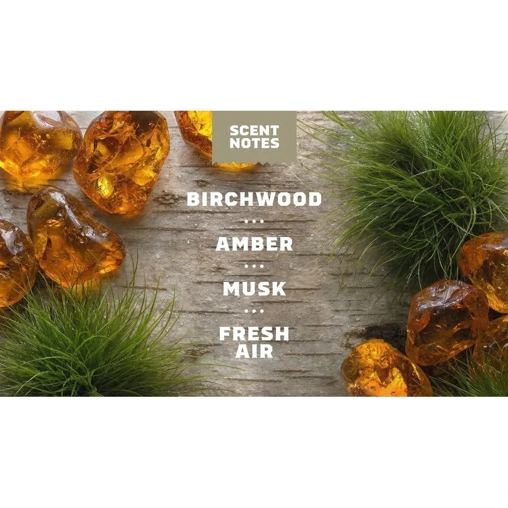 4x Dr SQUATCH Natural Deodorant Birchwood Breeze Charcoal 2.65 Oz Aluminum Free